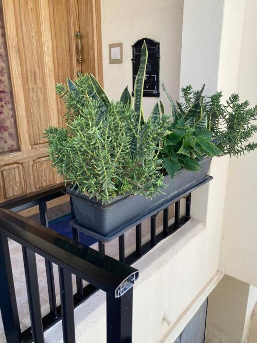 Dream Theatre Maisonette Marsaskala Kültér fotó